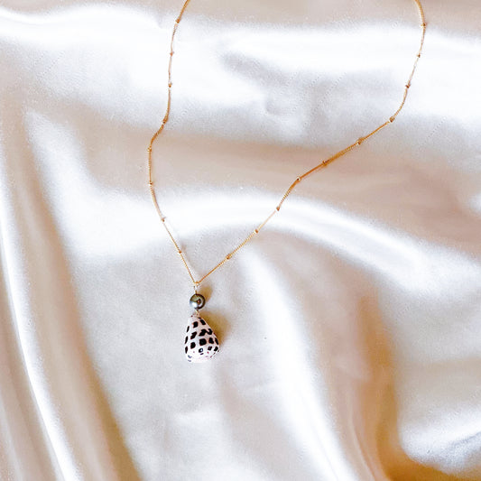 Cone shell necklace with pearl